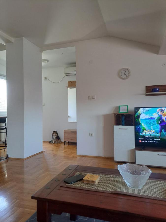 Apartman Zvezdica -Smederevo, Netflix Ngoại thất bức ảnh
